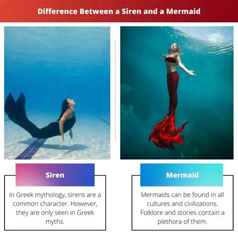 difference between mermaid and siren